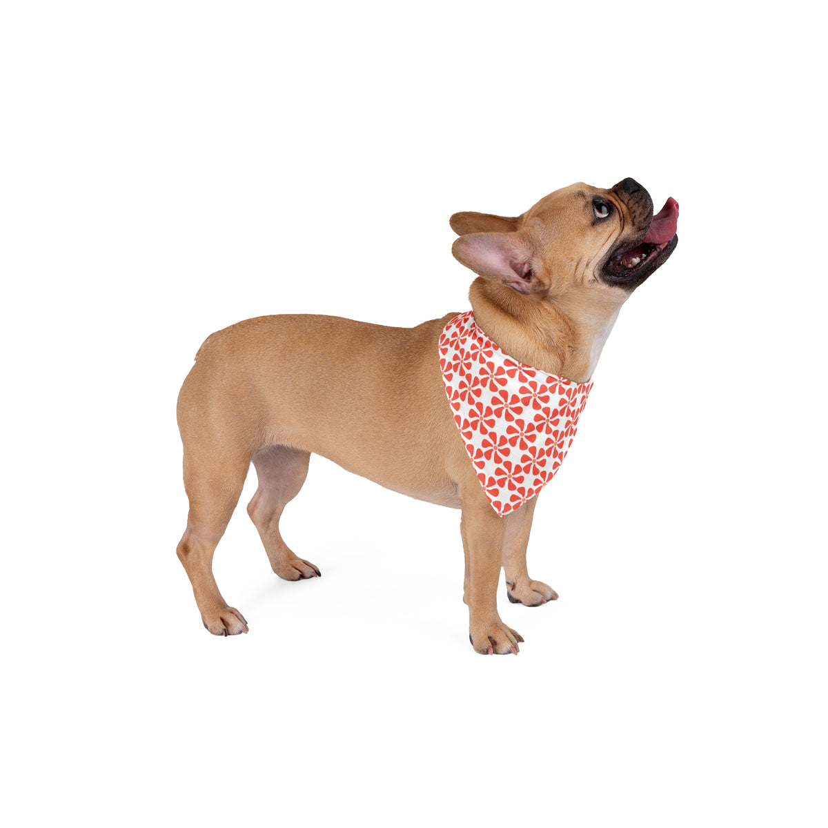 Coral Mod Flower Bandana