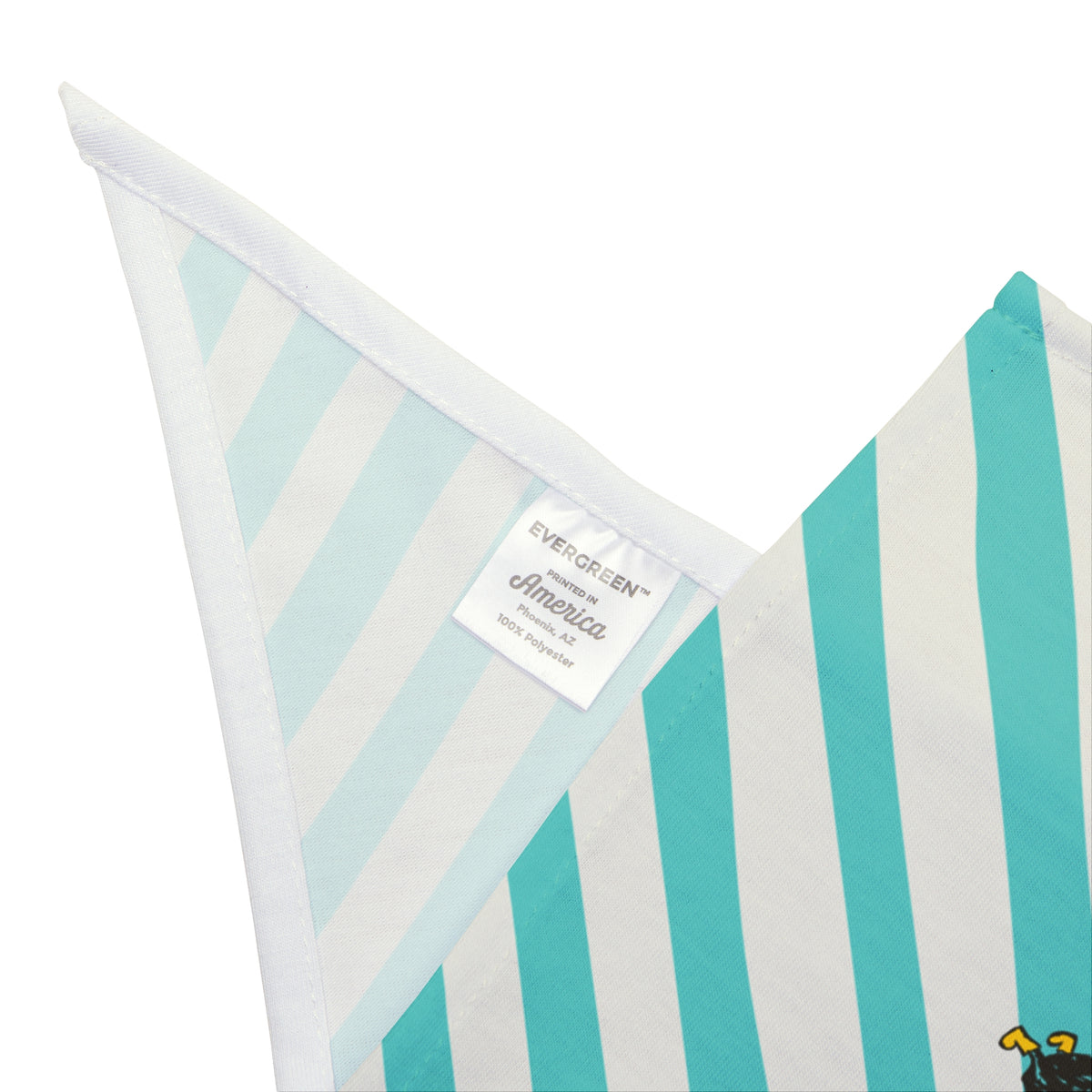 Teal Striped Bandana