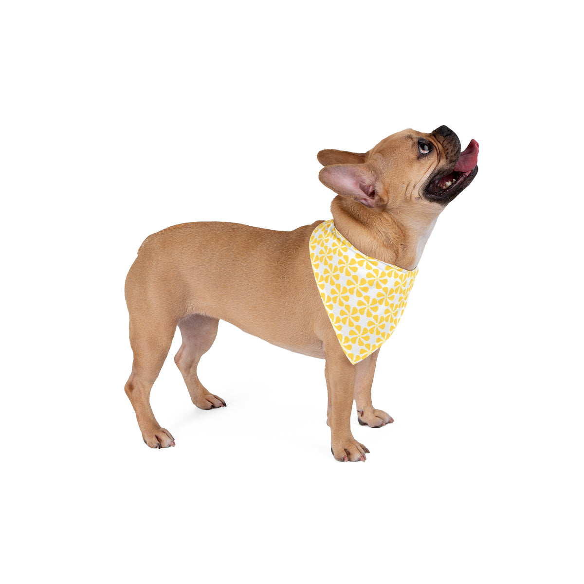 Yellow Mod Flower Bandana