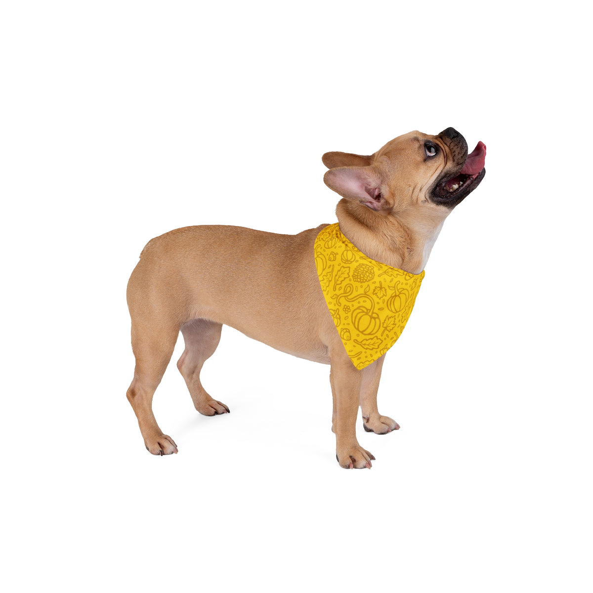 Fall Pumpkin Bandana