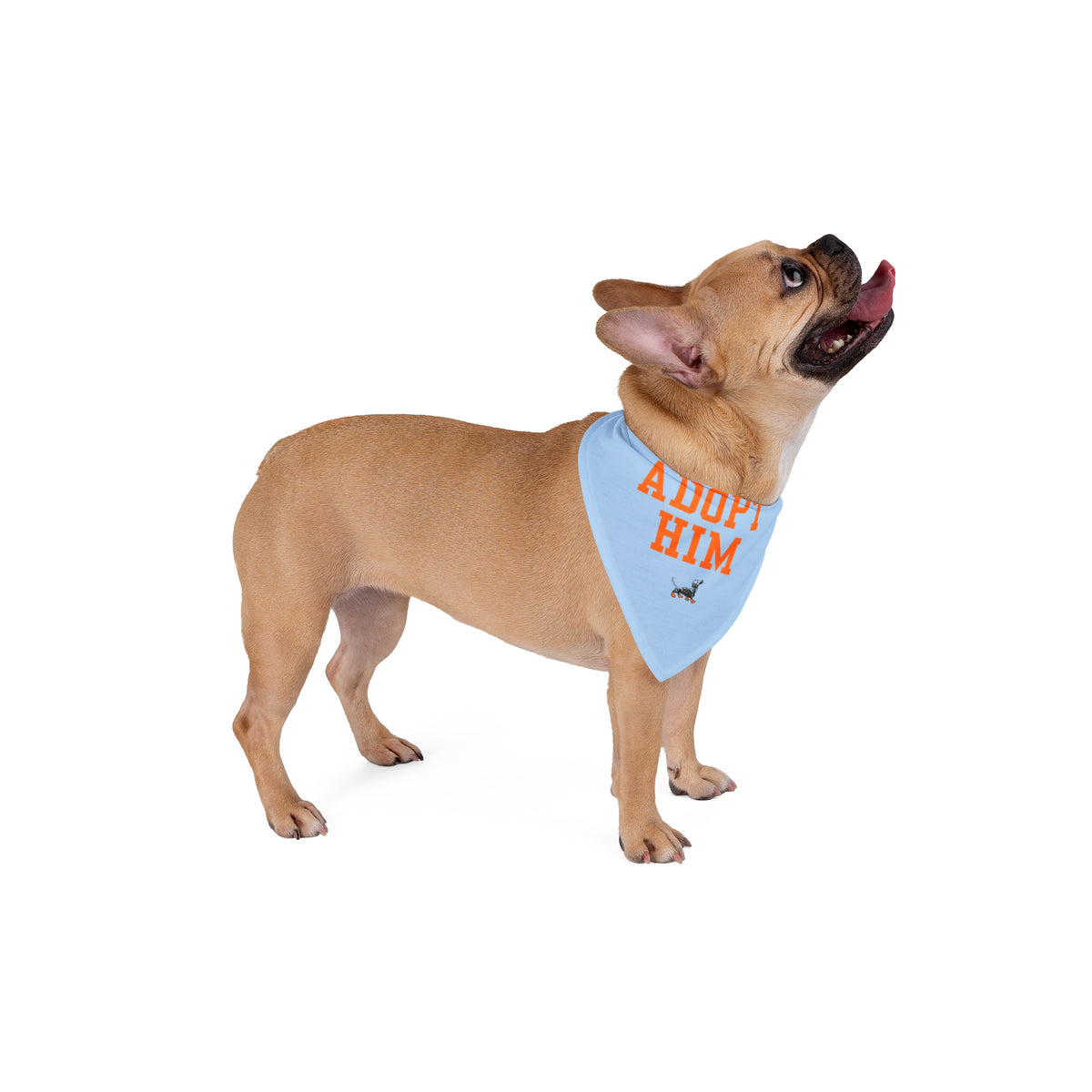 Adopt Him Bandana