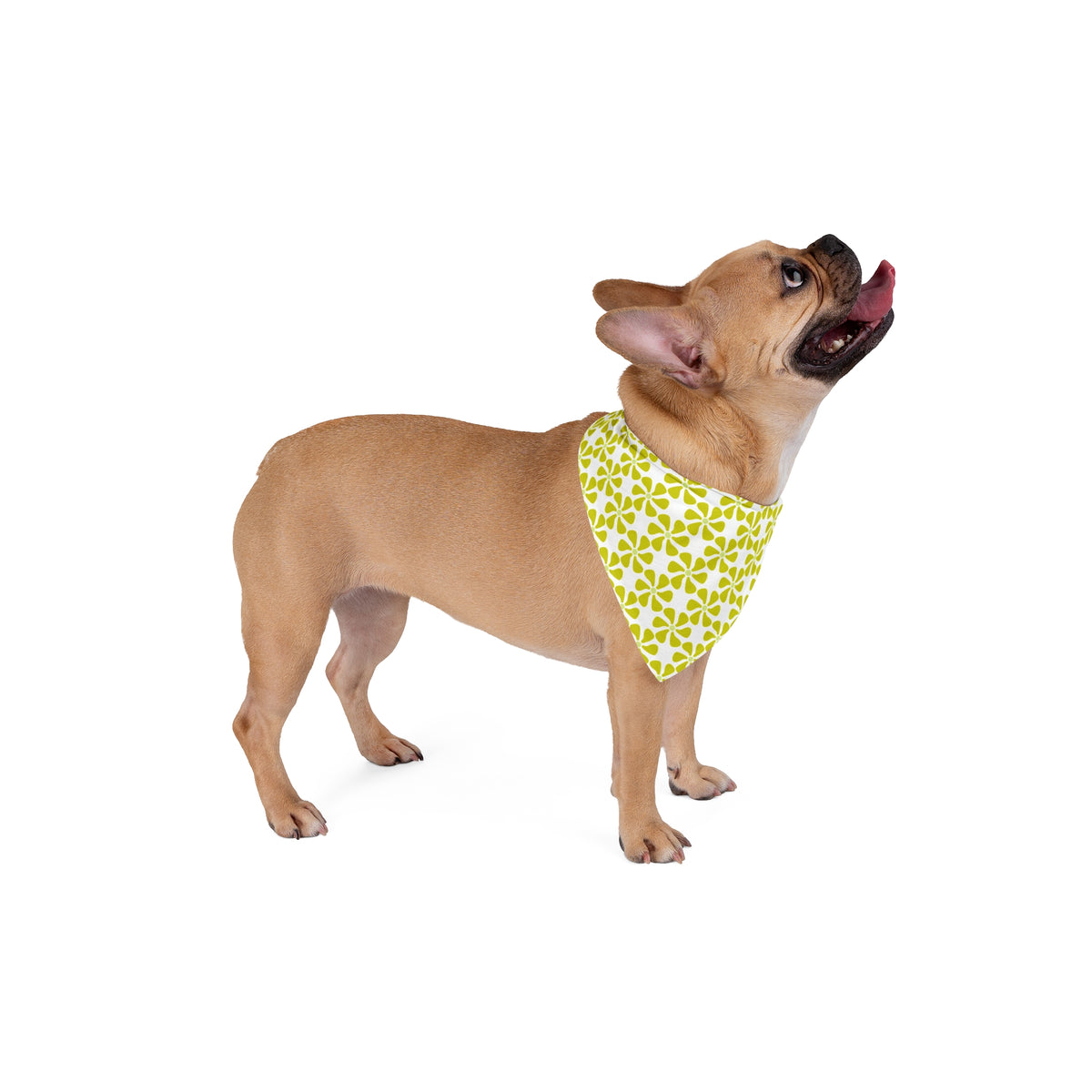 Lime Mod Flower Bandana