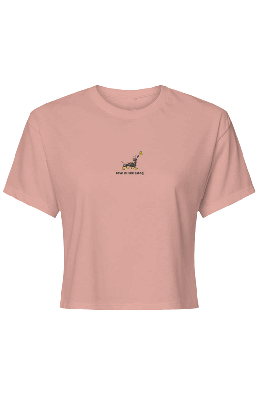 Love Is Like A Dog Crop Top